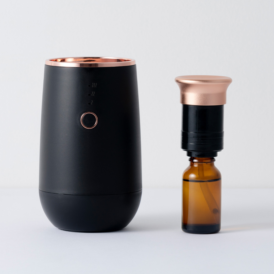 AUCSENT CLAN home ブラック