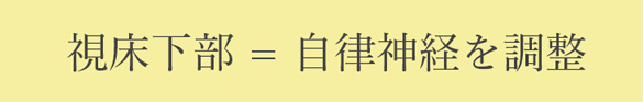 視床下部＝自律神経を調整
